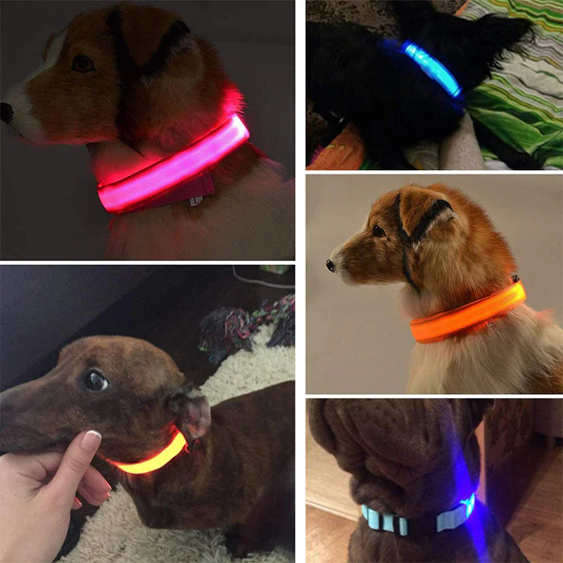 LED Glow Dog Collar