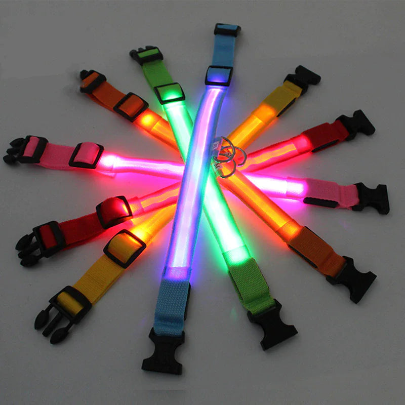 LED Glow Dog Collar