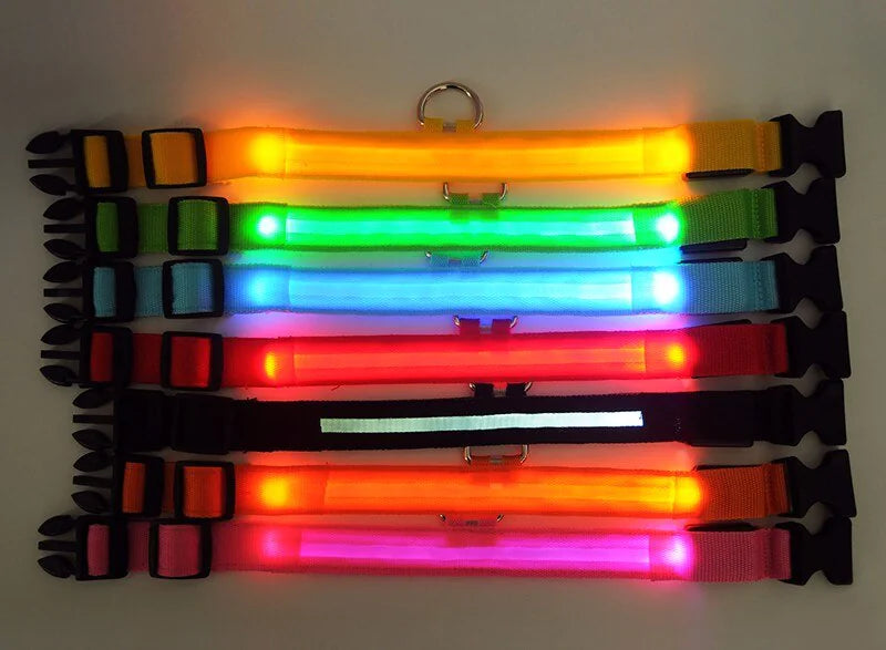 LED Glow Dog Collar