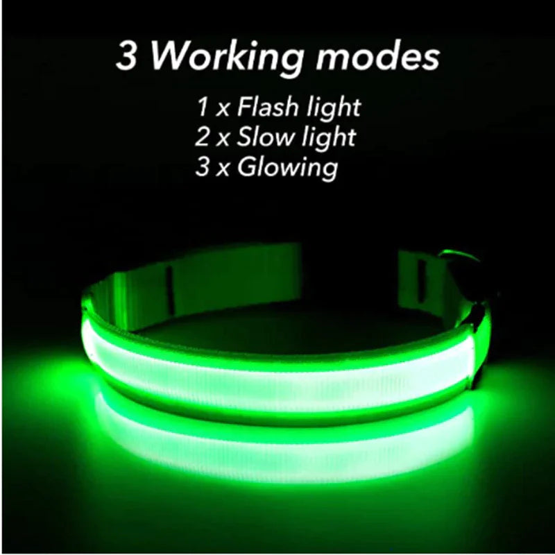 LED Glow Dog Collar