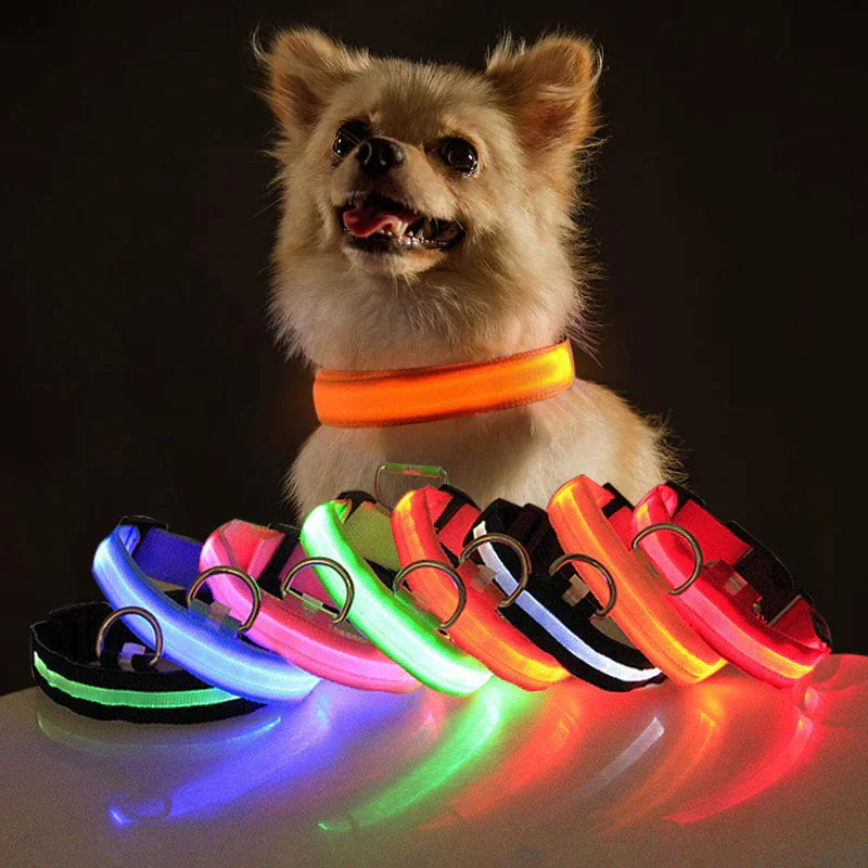 LED Glow Dog Collar