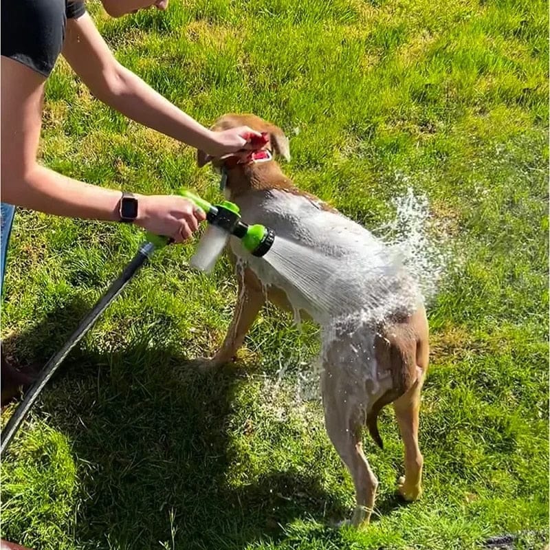 Chorro de spa para perros